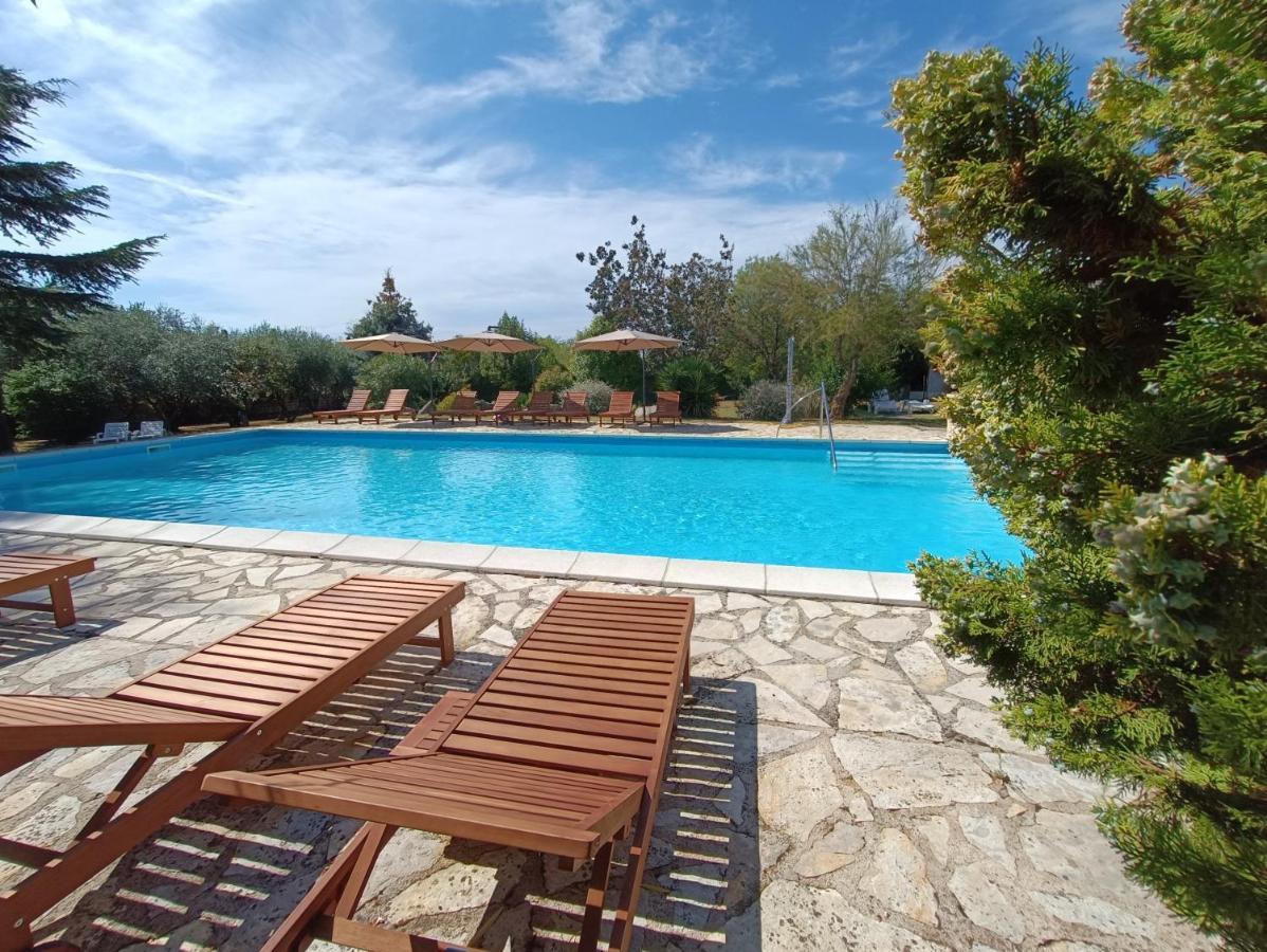 Hotel Holiday Hotel Buici (Istria)