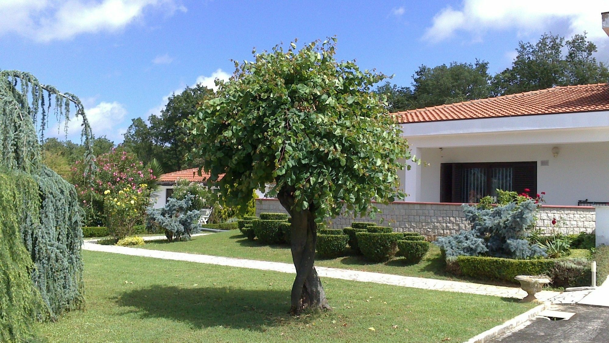 Hotel Hotel Holiday 3*